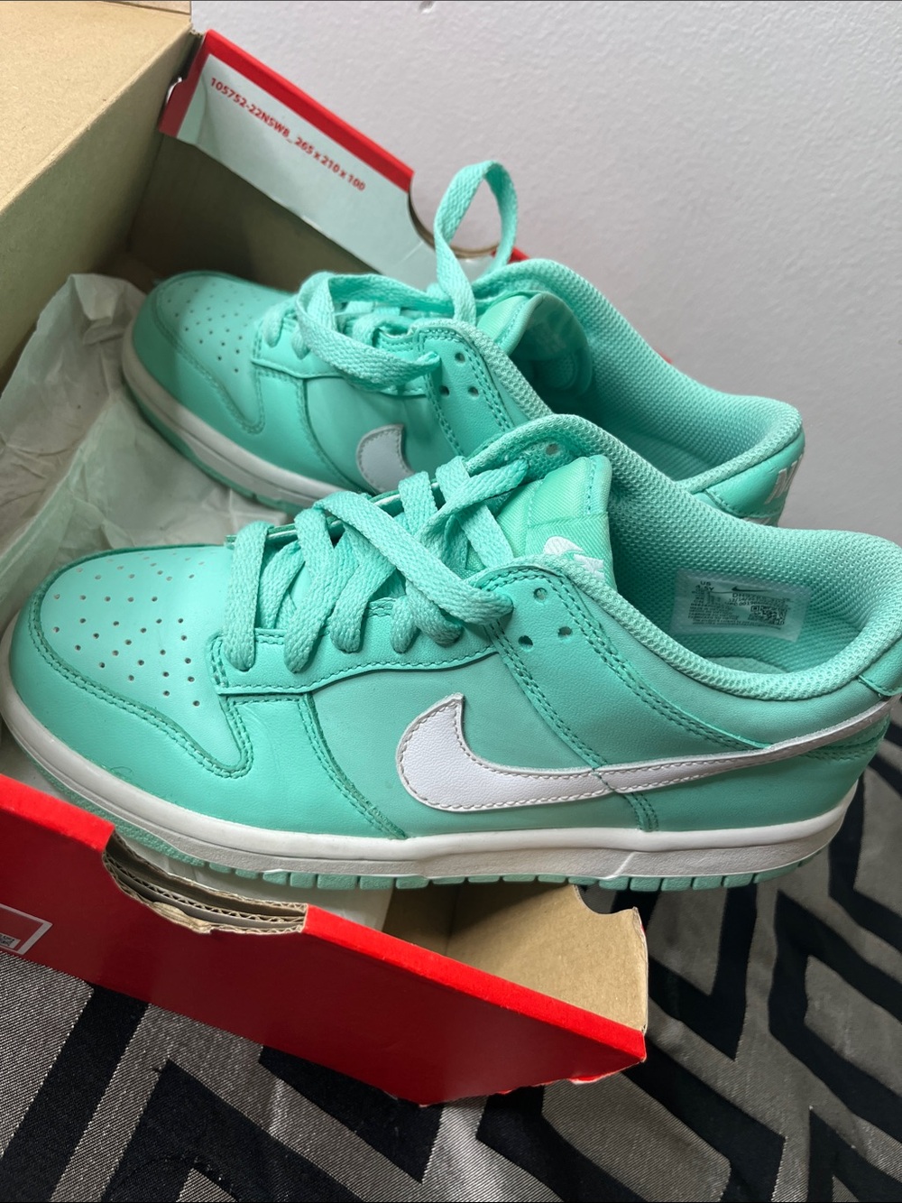 Big Kids Nike Dunk Low